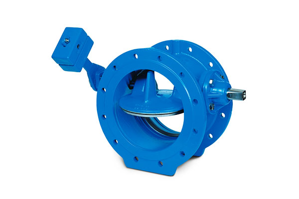Tilting Disc Swing Check Valve Components