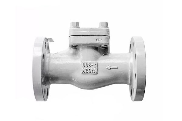 Lift Check Valve Components